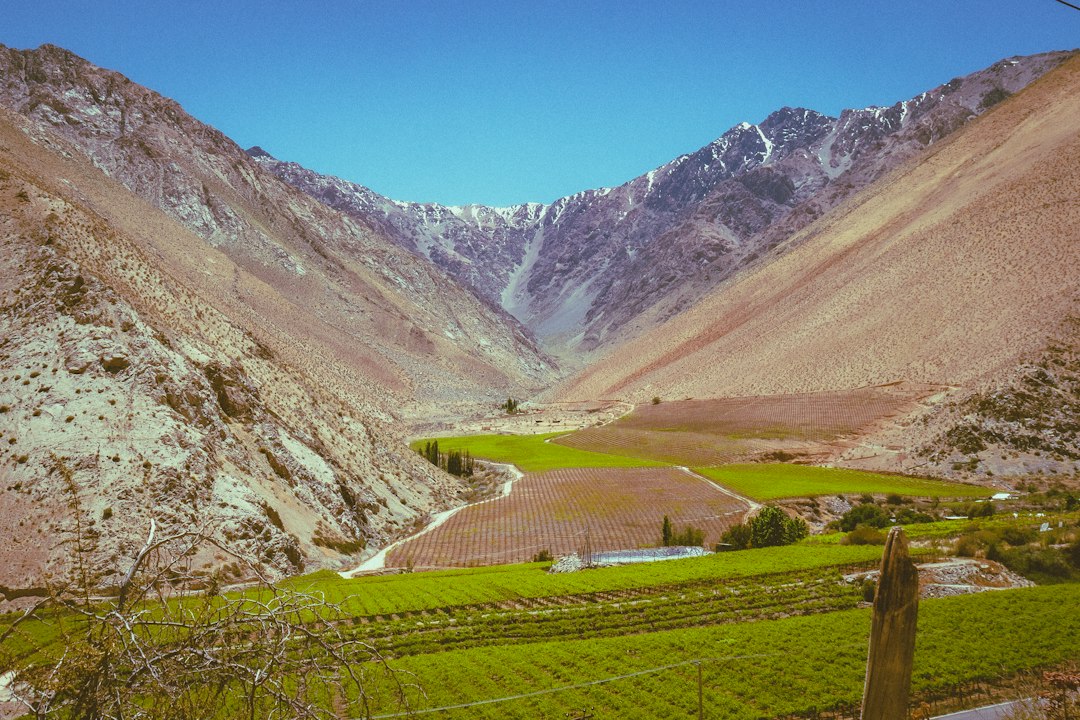 Predio agrícola con viñedos en el Valle del Elqui, Chile